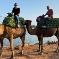 Camel Ride in Agadir