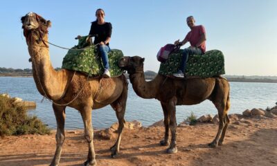 Camel Ride in Agadir